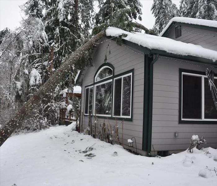 Tree Damage to home in Scarsdale, NY