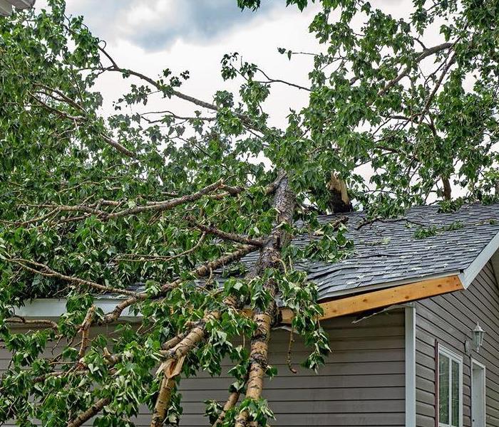 Downed trees on roof of home in Fleetwood, NY